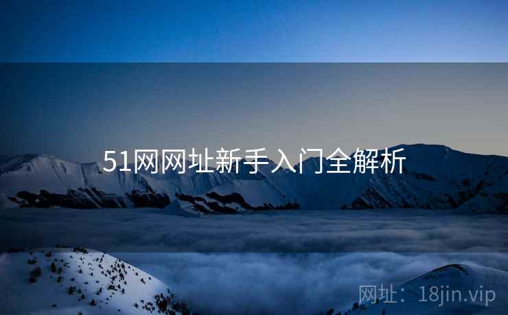 51网网址新手入门全解析