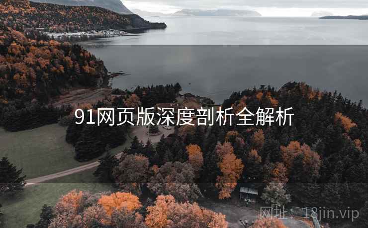 91网页版深度剖析全解析