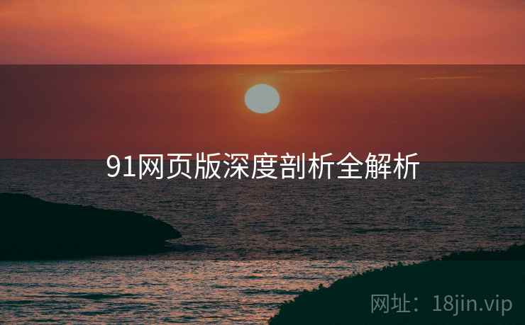 91网页版深度剖析全解析