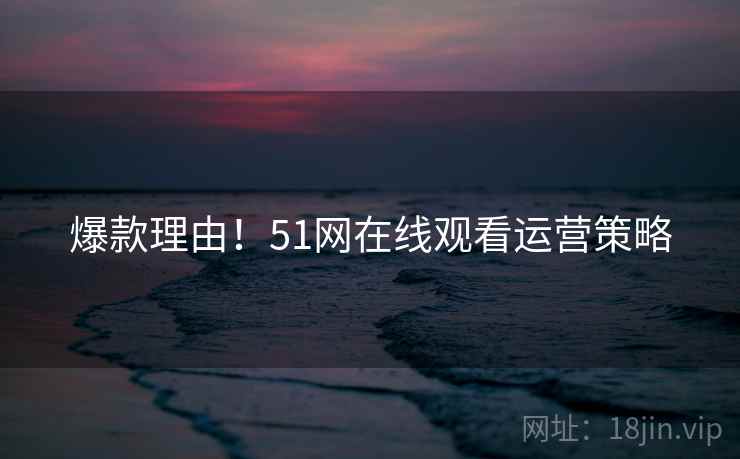 爆款理由！51网在线观看运营策略