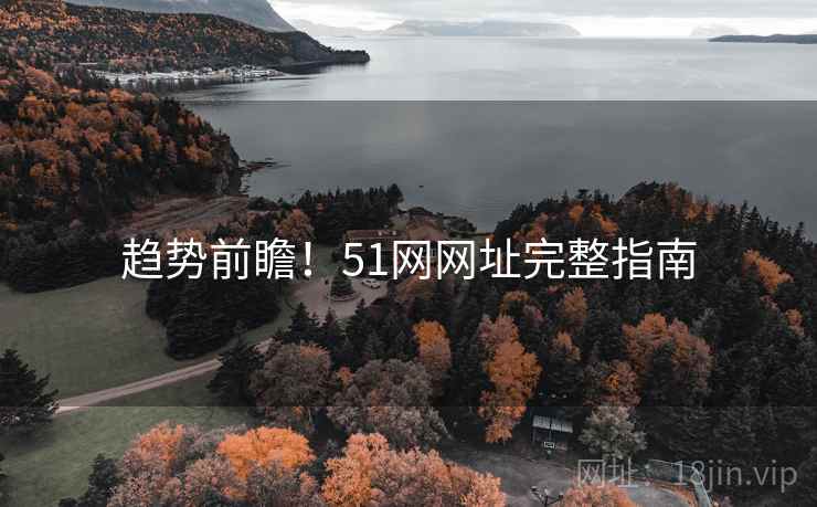 趋势前瞻！51网网址完整指南