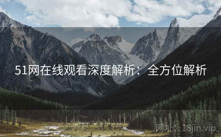 51网在线观看深度解析：全方位解析