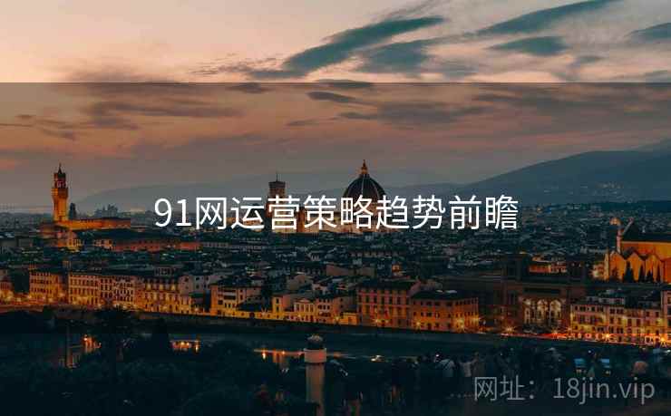 91网运营策略趋势前瞻