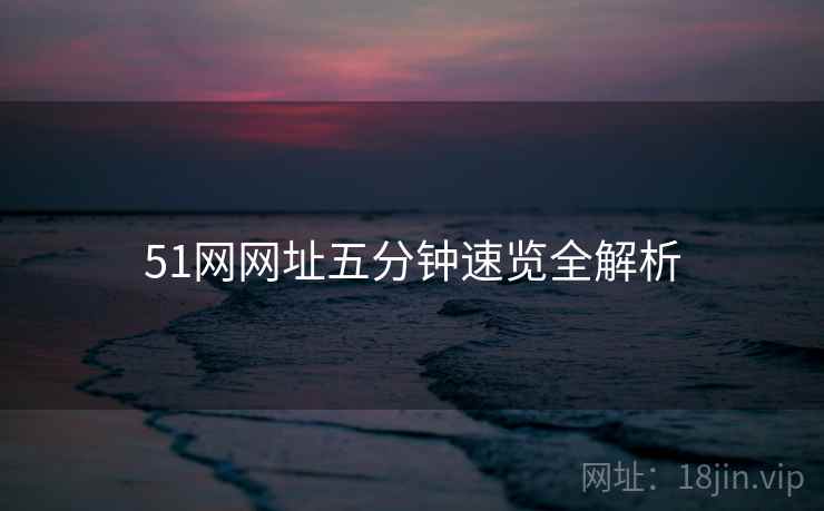 51网网址五分钟速览全解析