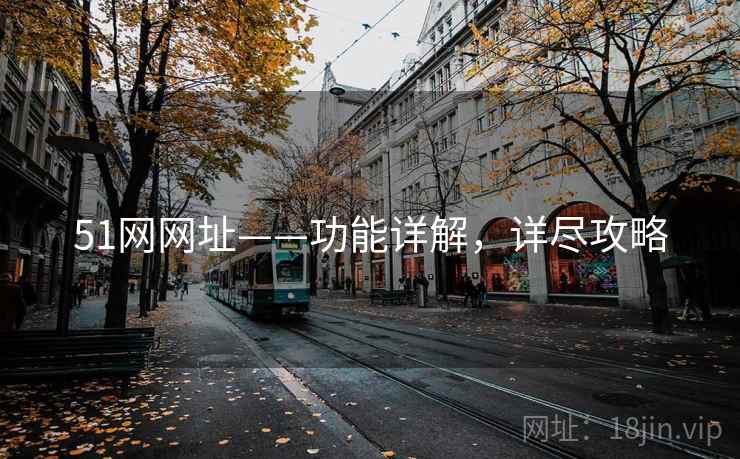 51网网址——功能详解，详尽攻略