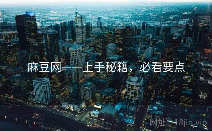 麻豆网——上手秘籍，必看要点