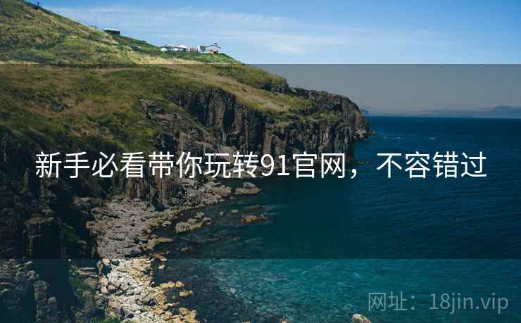 新手必看带你玩转91官网，不容错过