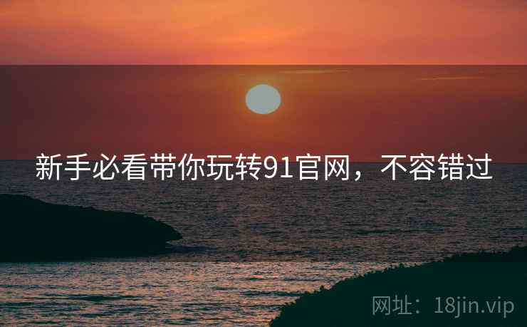 新手必看带你玩转91官网，不容错过