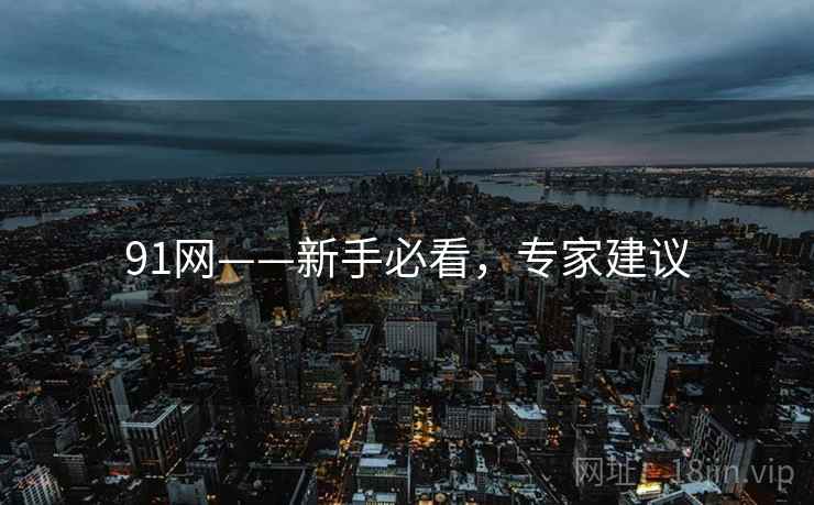 91网——新手必看，专家建议