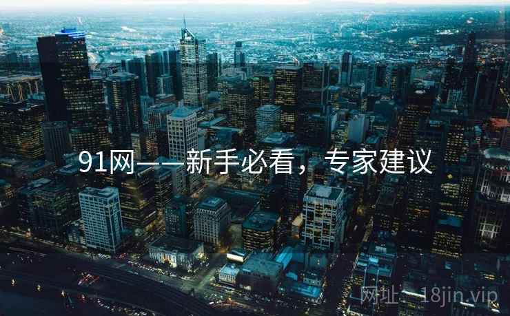 91网——新手必看，专家建议