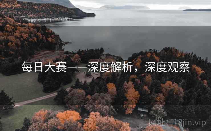 每日大赛——深度解析，深度观察