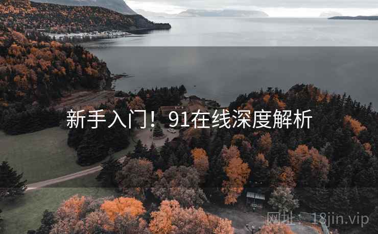 新手入门！91在线深度解析
