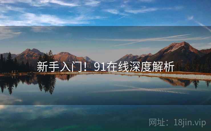 新手入门！91在线深度解析
