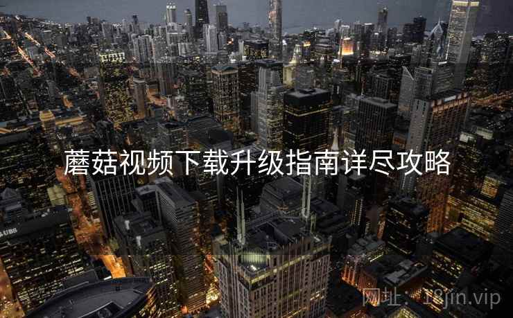 蘑菇视频下载升级指南详尽攻略
