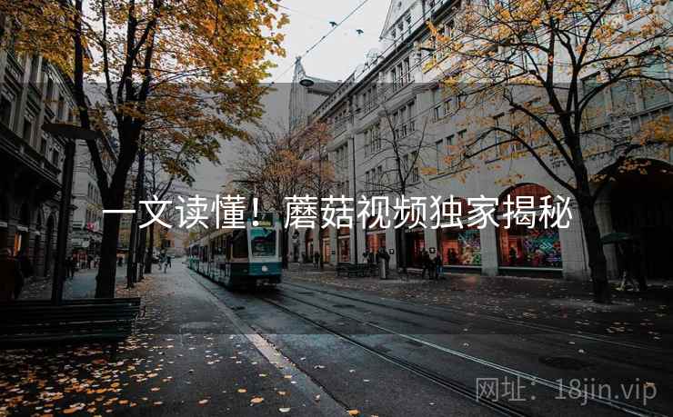 一文读懂！蘑菇视频独家揭秘