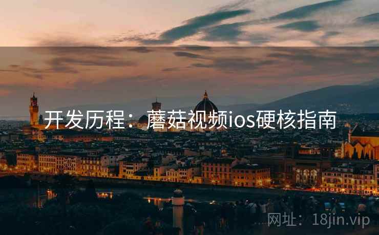 开发历程：蘑菇视频ios硬核指南