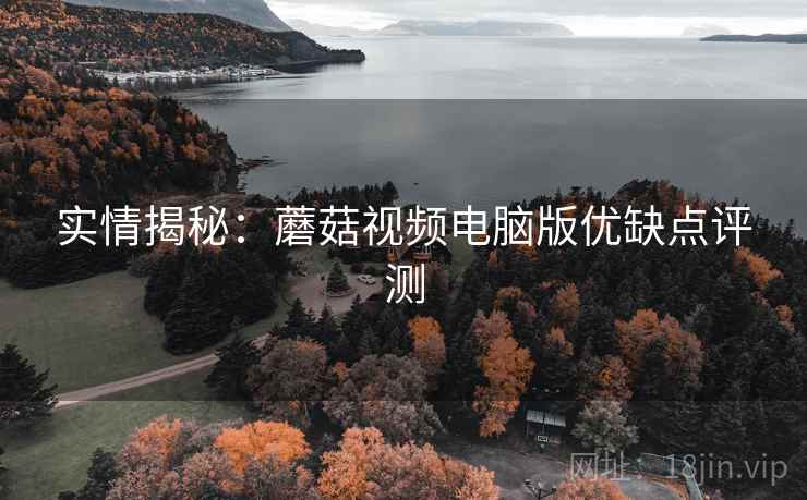 实情揭秘：蘑菇视频电脑版优缺点评测