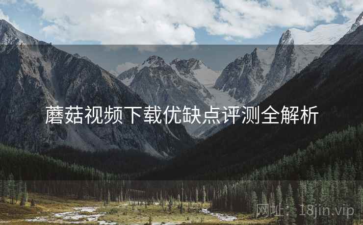 蘑菇视频下载优缺点评测全解析