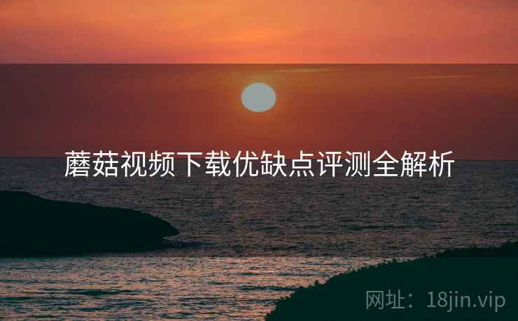 蘑菇视频下载优缺点评测全解析