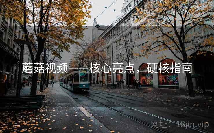 蘑菇视频——核心亮点，硬核指南