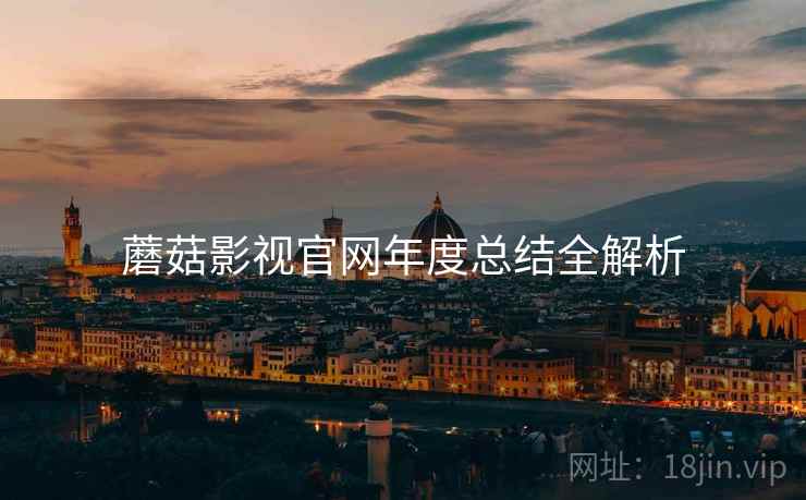 蘑菇影视官网年度总结全解析