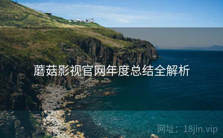 蘑菇影视官网年度总结全解析