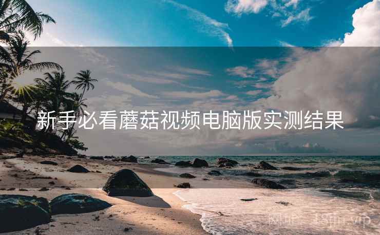 新手必看蘑菇视频电脑版实测结果