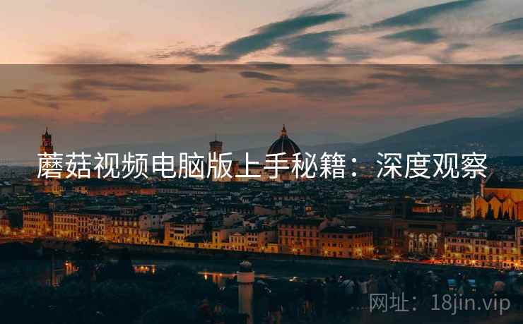 蘑菇视频电脑版上手秘籍：深度观察