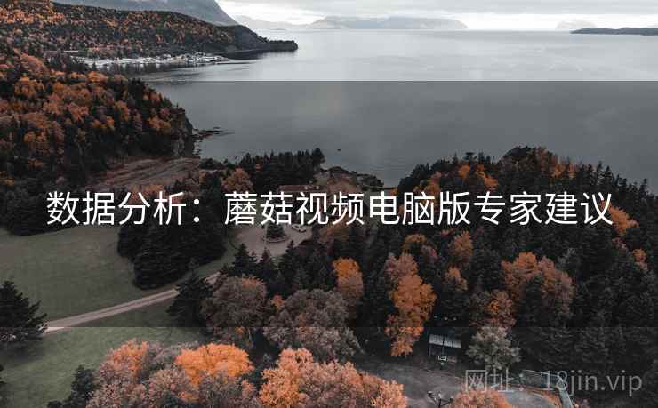 数据分析：蘑菇视频电脑版专家建议