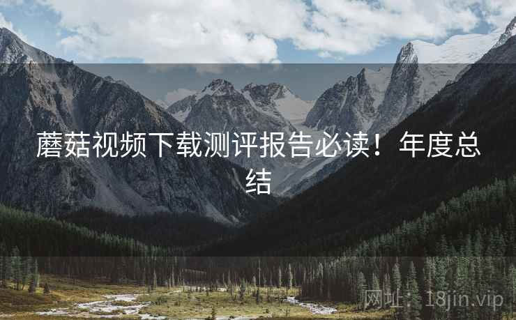 蘑菇视频下载测评报告必读！年度总结