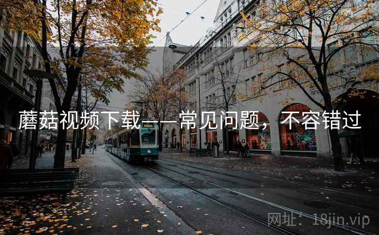 蘑菇视频下载——常见问题，不容错过
