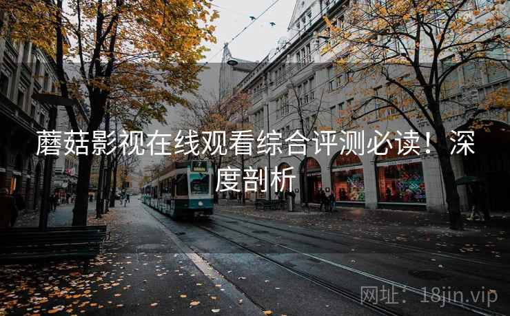 蘑菇影视在线观看综合评测必读！深度剖析