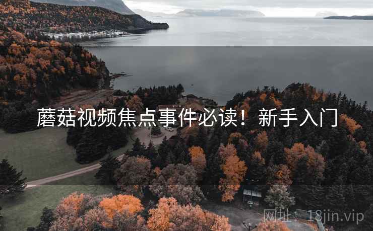 蘑菇视频焦点事件必读！新手入门