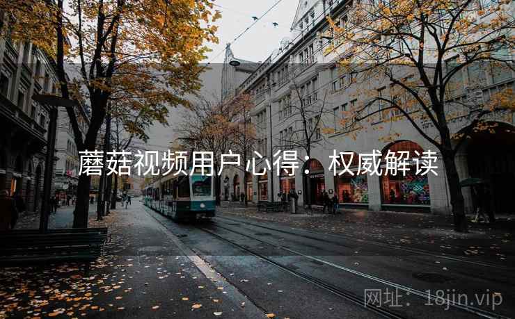 蘑菇视频用户心得：权威解读