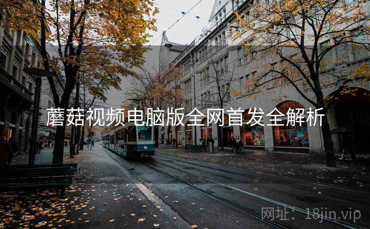 蘑菇视频电脑版全网首发全解析
