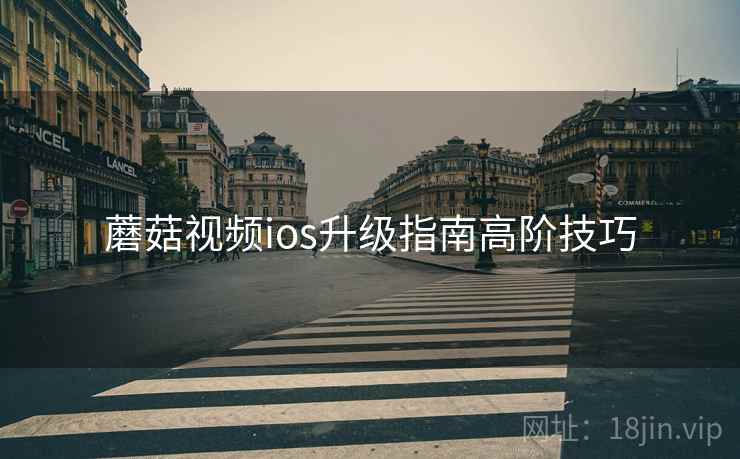 蘑菇视频ios升级指南高阶技巧